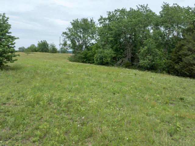 Land for sale in Crab Orchard, Kentucky