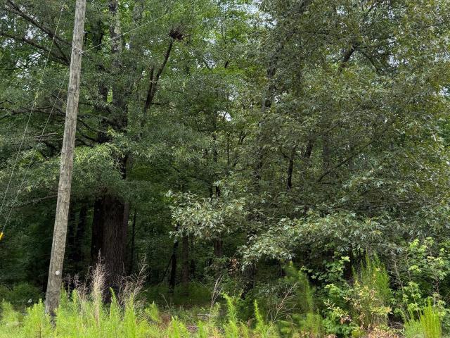 Land for sale in Spalding, Georgia