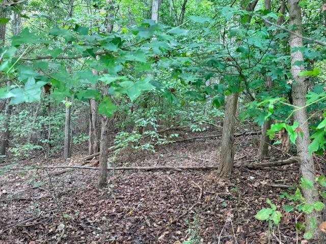 Land for sale in Scottsboro, Alabama
