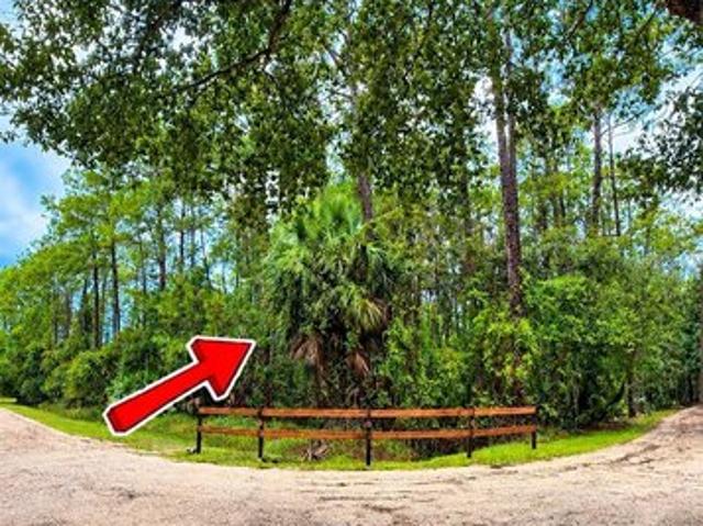Land for sale in Deltona, Volusia County