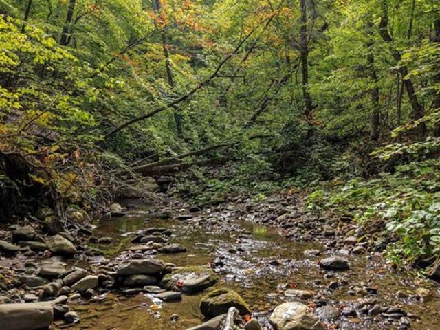 Land for sale in Bailey Mills, Reading