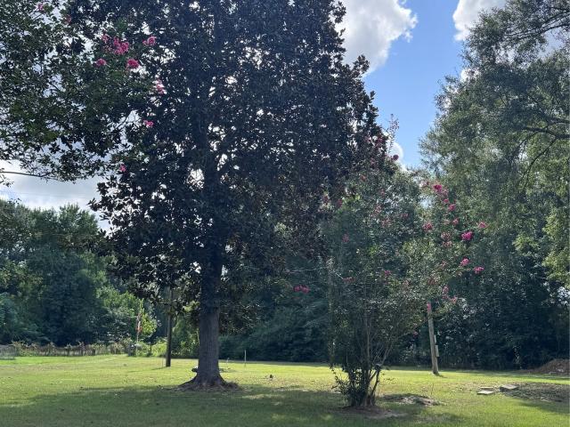 Land for sale in Jasper, Texas