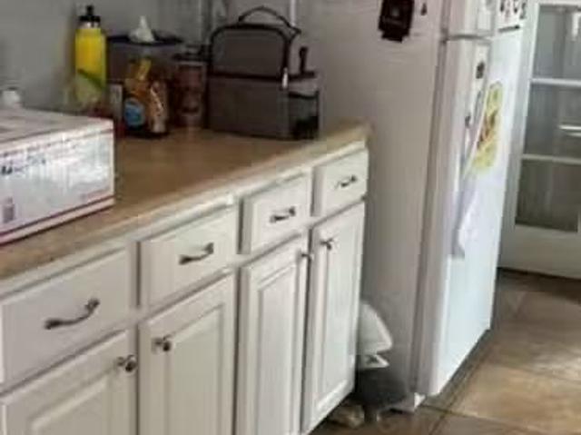 House for rent in Grand Junction