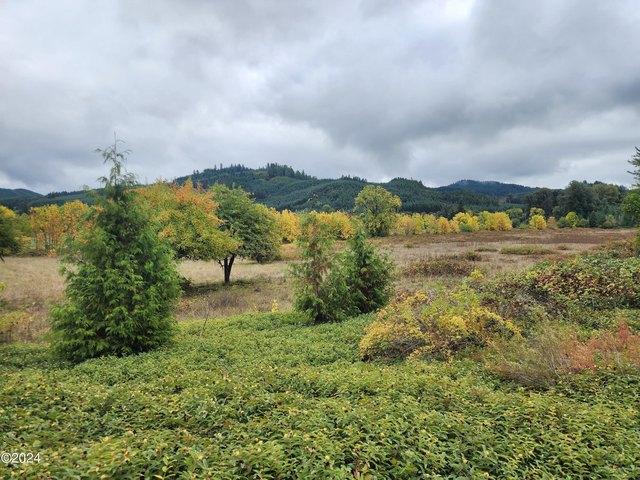 Land for sale in Oregonia