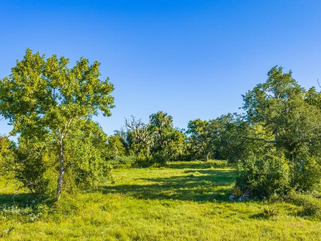 Land for sale in Brazoria, Texas