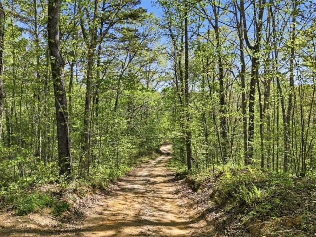 Land for sale in Talking Rock, Pickens County