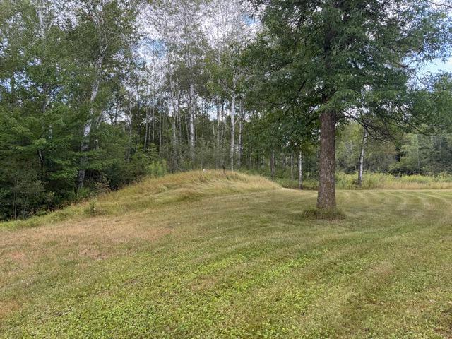 Land for sale in Minnesota