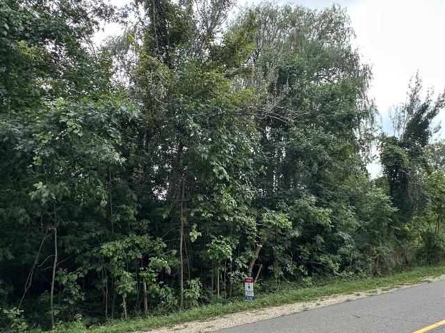 Land for sale in Watson, Michigan