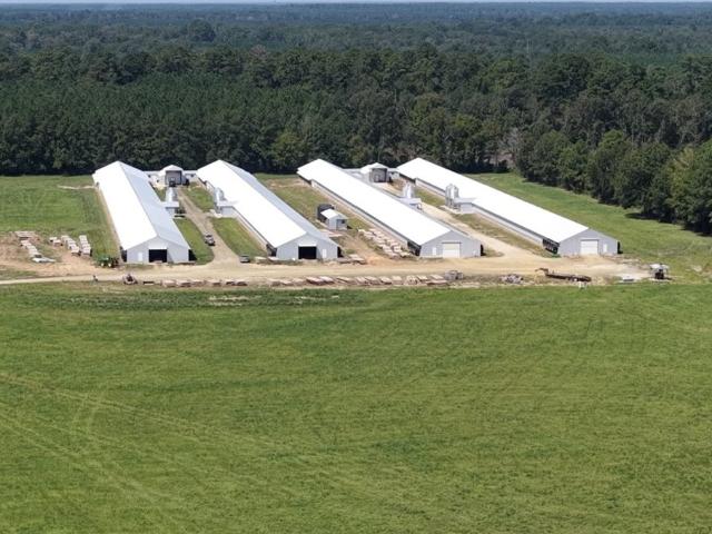 Farm for sale in Huntington, Texas