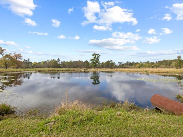 Farm for sale in Hillister, Texas