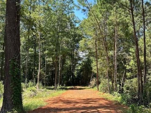 Land for sale in Reform, Alabama