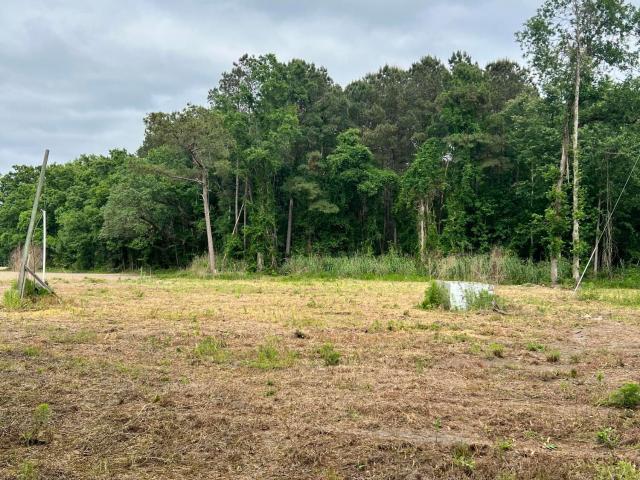 Land for sale in Saint George, South Carolina