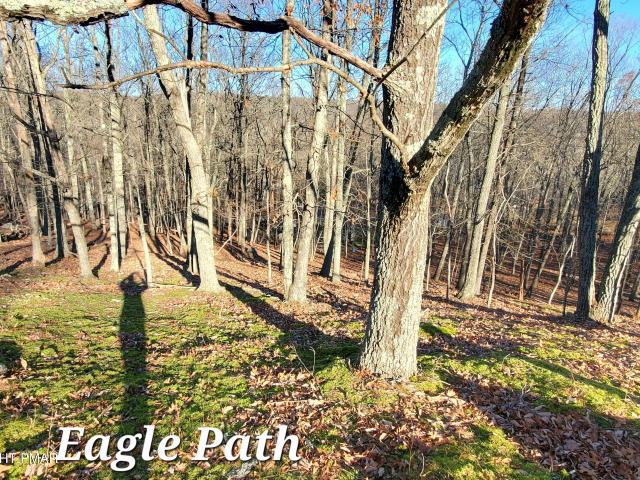 Land for sale in Lehman Township, Pike County