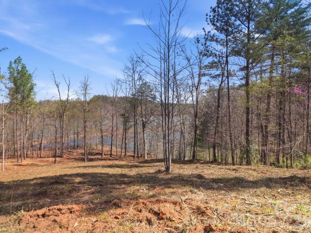Land for sale in Connellys Springs, North Carolina
