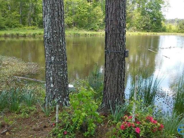 Land for sale in Vinemont, Alabama