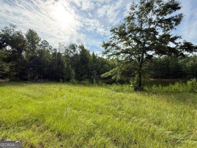 Land for sale in Hephzibah, Georgia