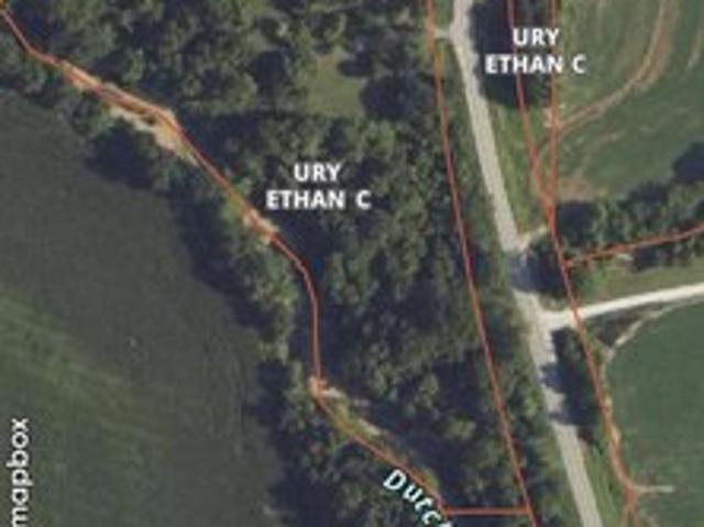 Land for sale in Jonesboro, Illinois
