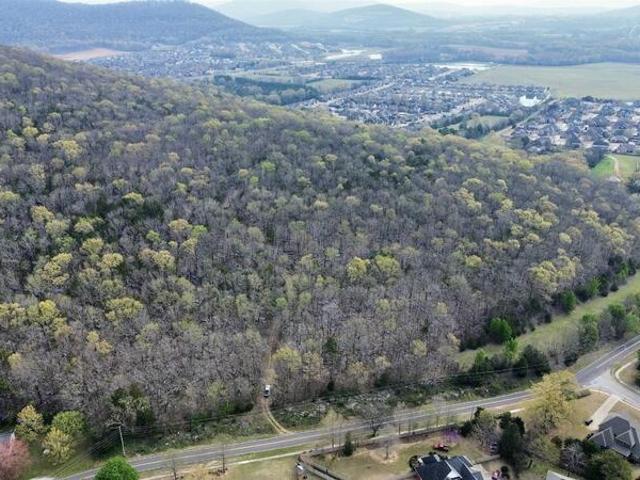 Land for sale in Owens Cross Roads Land for sale in Owens Cross Roads
