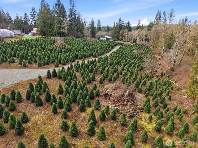 Land for sale in Thurston, Washington