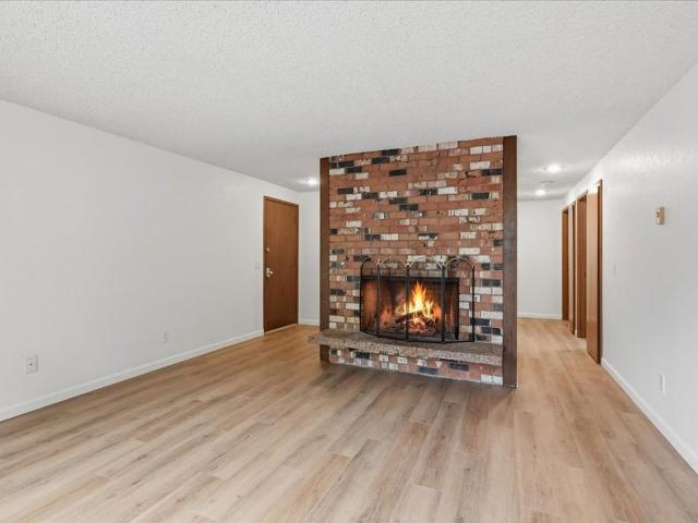 Apartment for rent in Ballinger, Lake Forest Park
