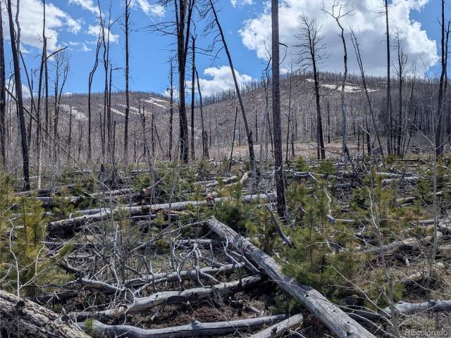 Land for sale in Fort Garland, Colorado