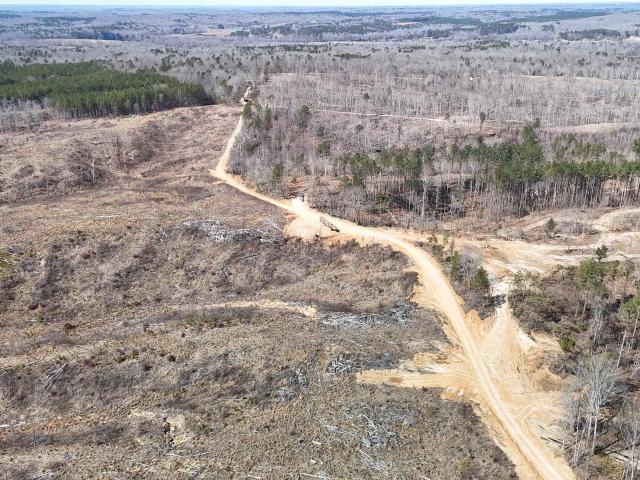 Land for sale in Hornsby, West Tennessee