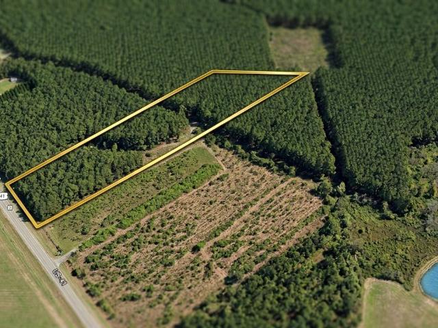 Land for sale in Unadilla, Dooly County