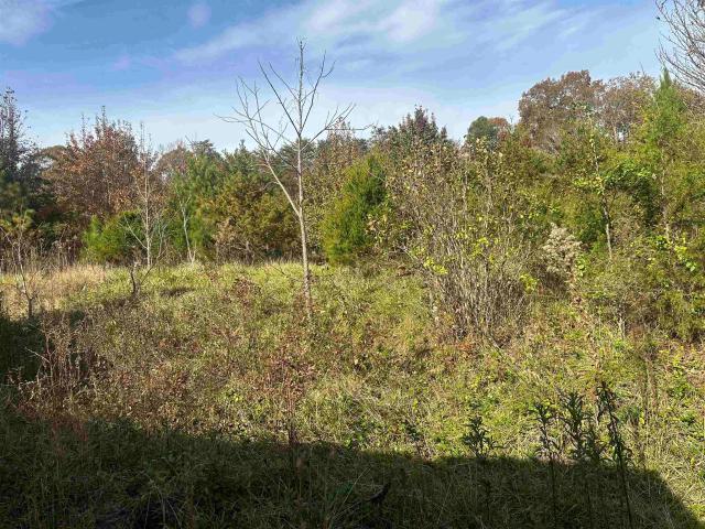 Land for sale in South Carolina