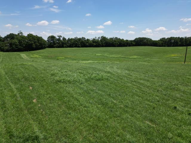 Land for sale in Versailles