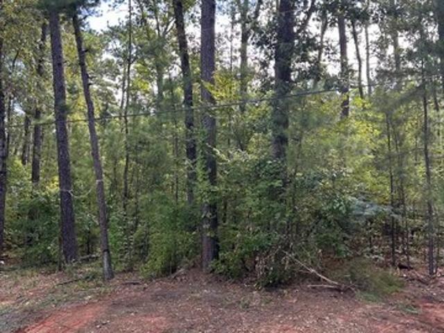 Land for sale in Sabine, Texas