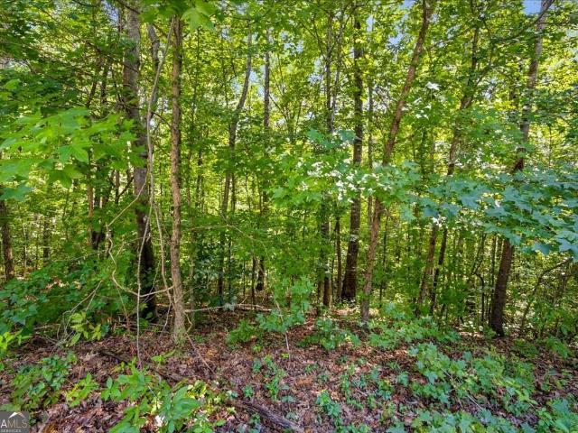 Land for sale in Carrollton, Georgia