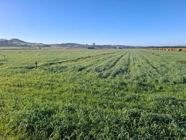 Farm for sale in Groot Brak Rivier, Western Cape