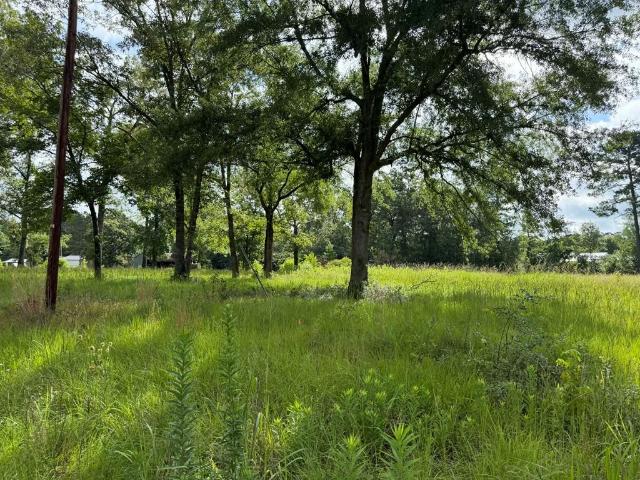 Land for sale in Huntington, Texas
