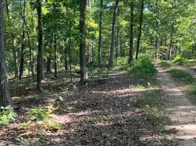 Land for sale in Fredericktown, Madison County
