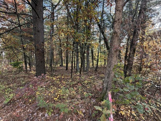 Land for sale in Reynolds Township, Montcalm County