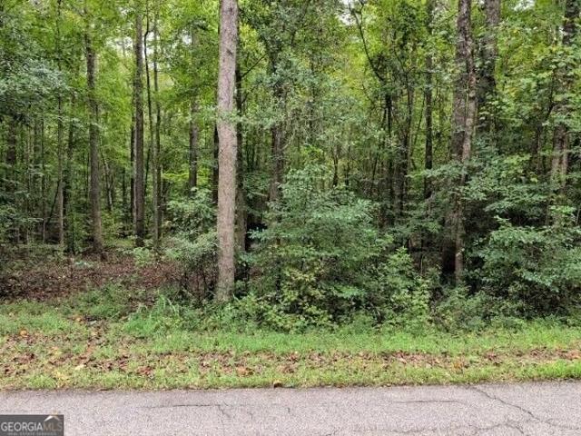 Land for sale in Martin, Stephens County
