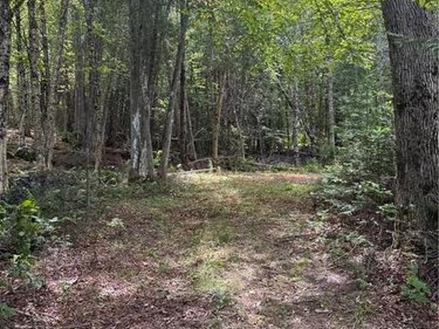 Land for sale in Charlotte, New Brunswick
