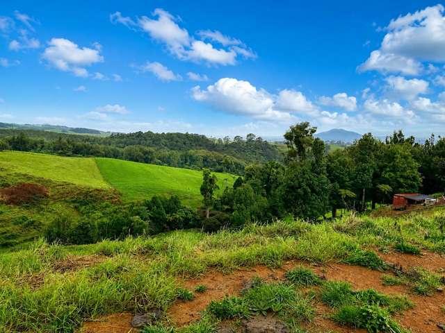 Property for sale in Pirongia, Waikato