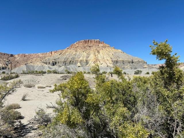 Land for sale in Torrey, Utah