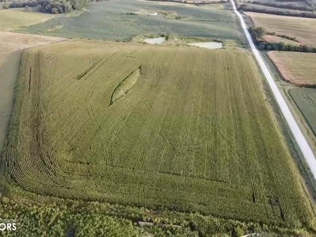 Farm for sale in Clarinda, Iowa