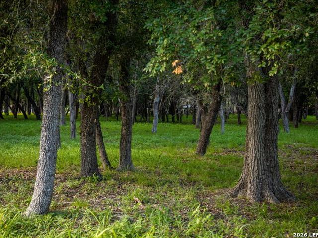 Land for sale in Texas
