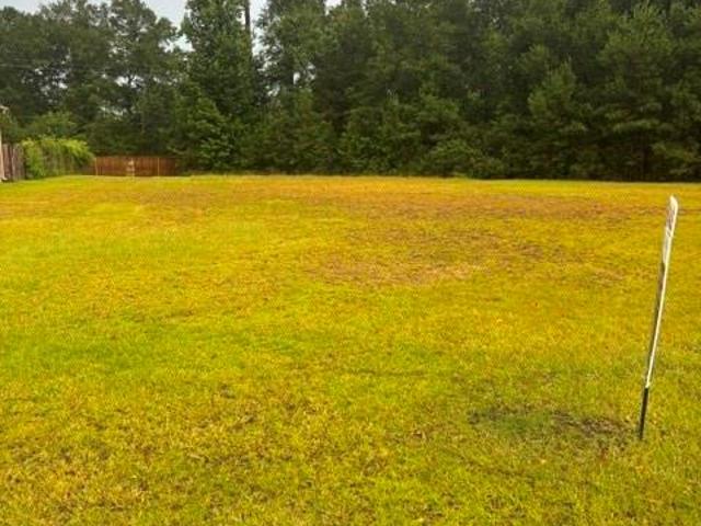Land for sale in Hammond, Louisiana