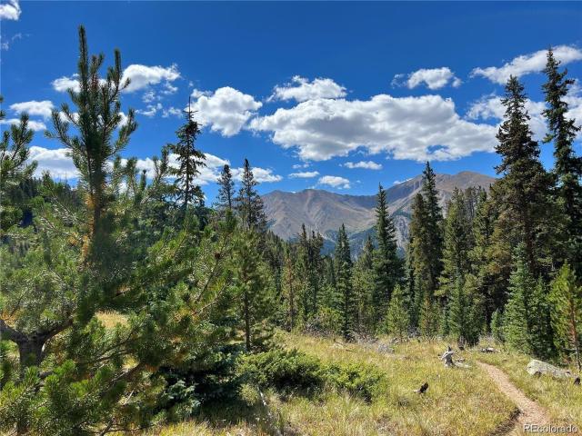 Land for sale in Leadville, Colorado