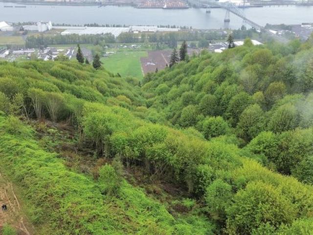Land for sale in Rainier, Columbia County
