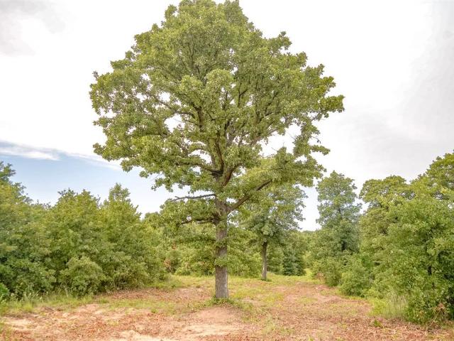 Land for sale in Luther, Oklahoma