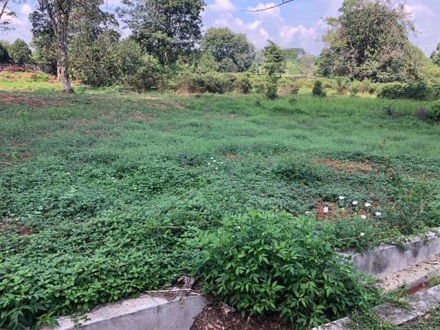 Property for sale in Kajang, Langat