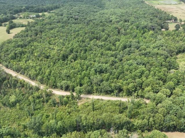 Land for sale in Clinton, Van Buren County