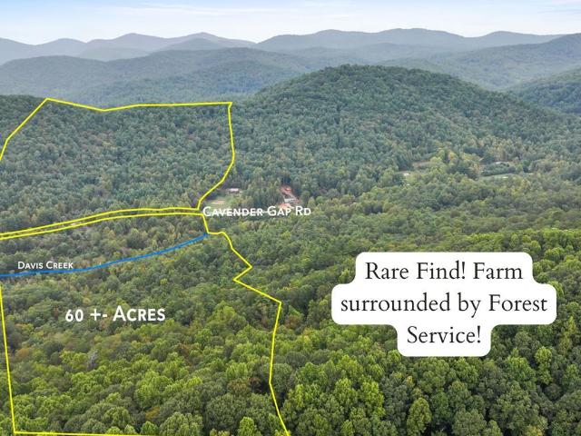 Land for sale in Georgia