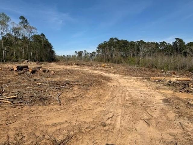 Land for sale in Shelby, Texas