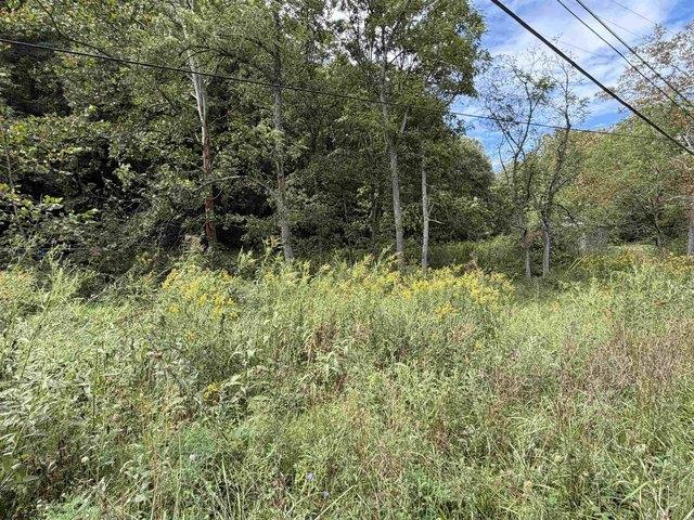 Farm for sale in Maidsville, Monongalia County